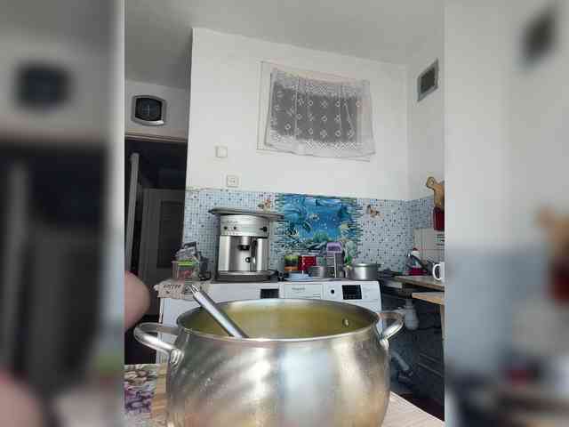 NeZabudka- webcam