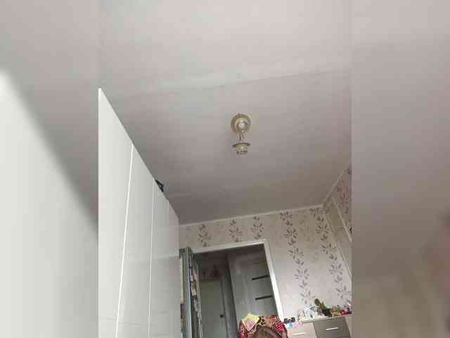 NeZabudka- webcam