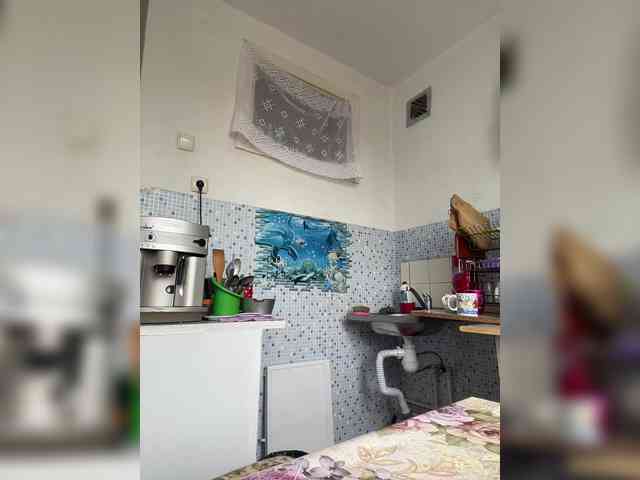 NeZabudka- webcam