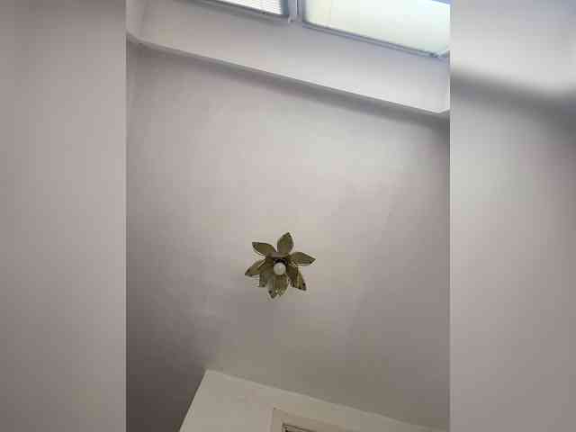 NeZabudka- webcam