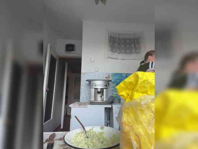 NeZabudka- webcam