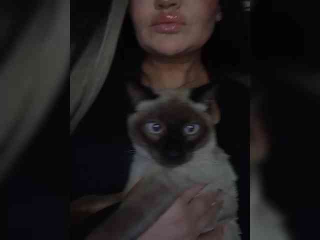 Brunetochkaaa webcam