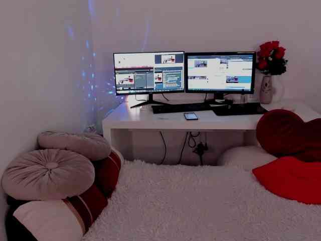 aryahunt webcam