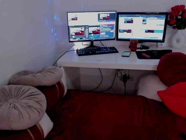 aryahunt webcam