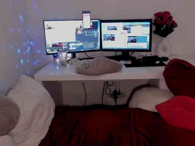 aryahunt webcam