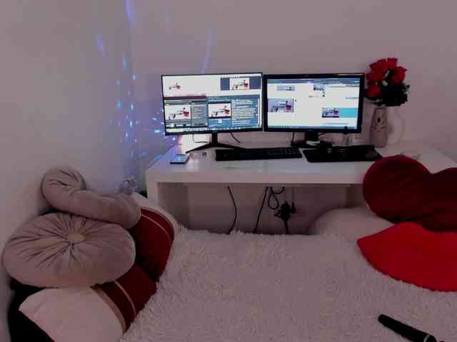 aryahunt webcam