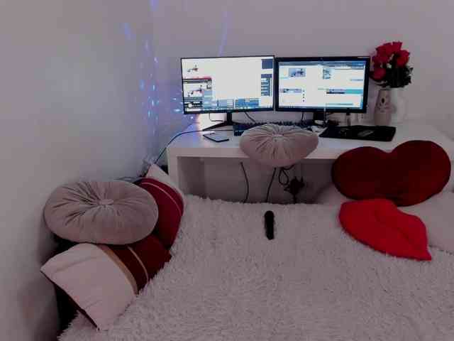 aryahunt webcam