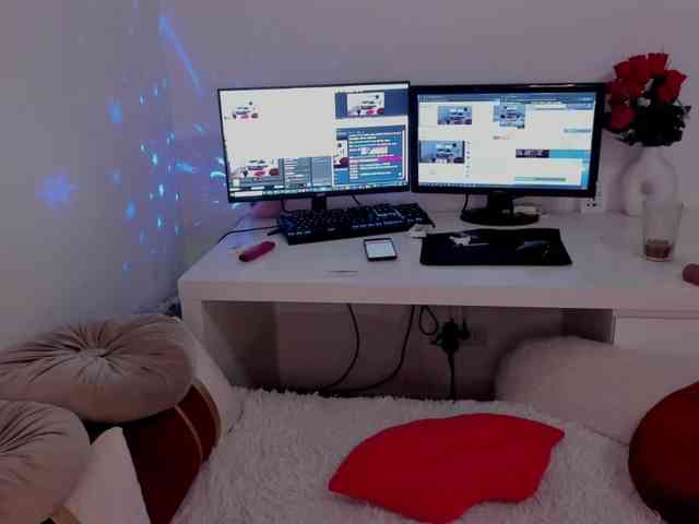 aryahunt webcam
