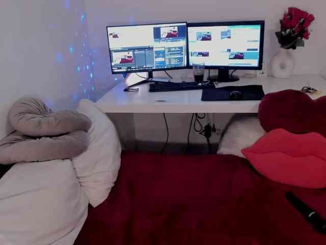 aryahunt webcam