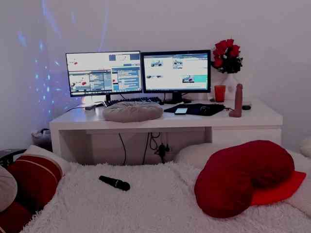 aryahunt webcam