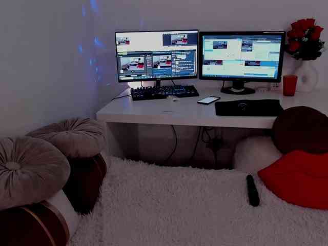 aryahunt webcam