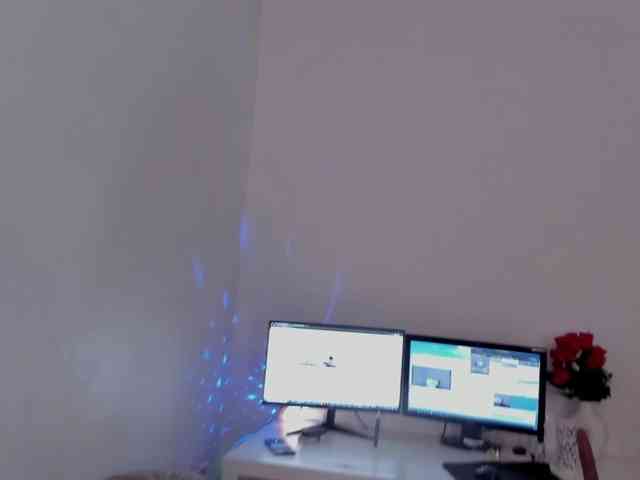aryahunt webcam