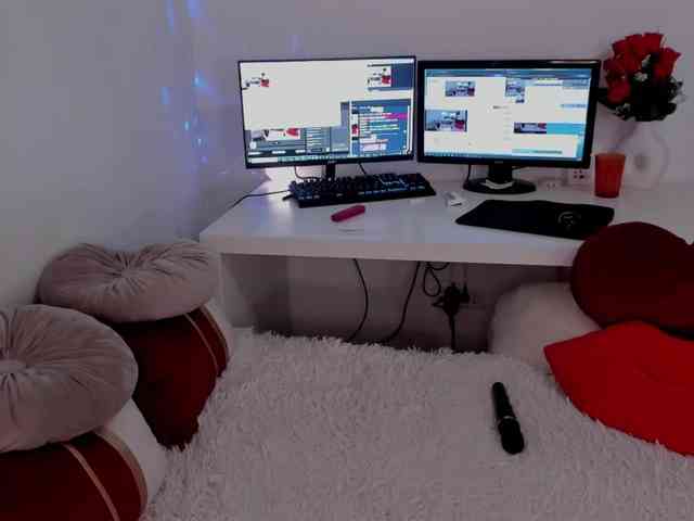 aryahunt webcam