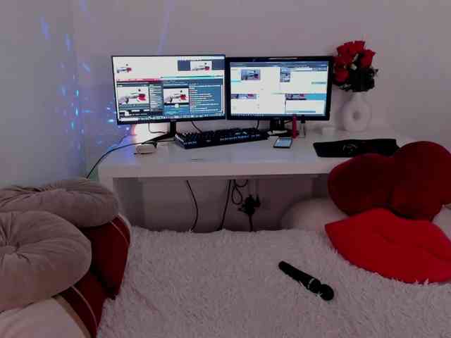 aryahunt webcam
