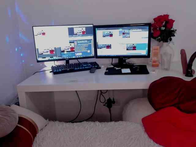 aryahunt webcam