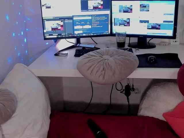aryahunt webcam