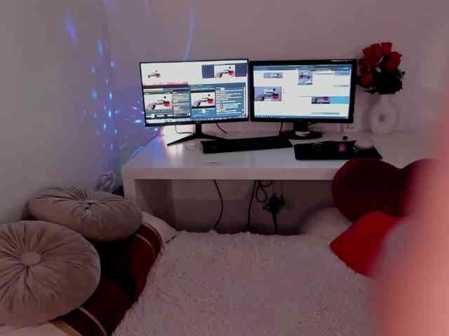 aryahunt webcam