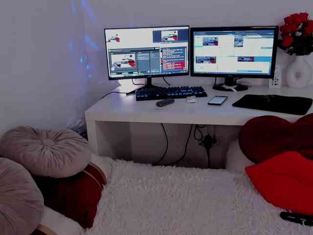 aryahunt webcam