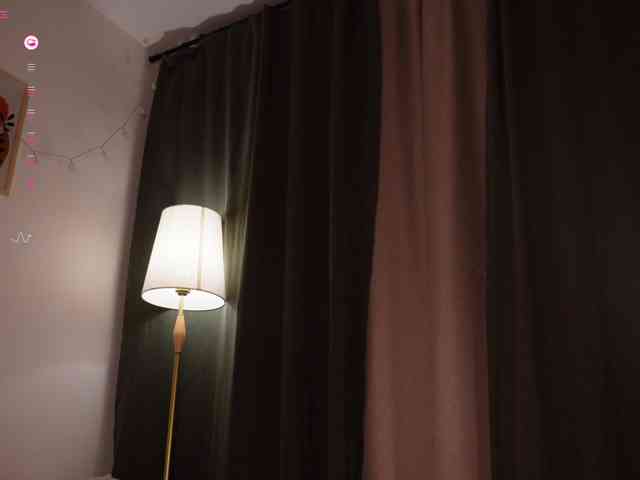Persona-Kim webcam