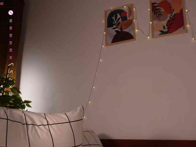 Persona-Kim webcam