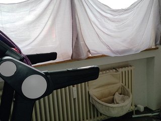Wetgerman2 Porn Show