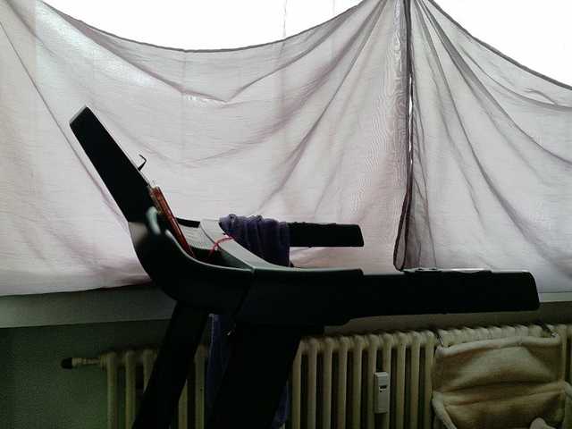 Wetgerman2's BongaCams show and profile