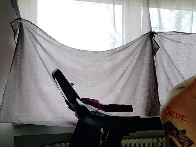 Wetgerman2 live cam profile