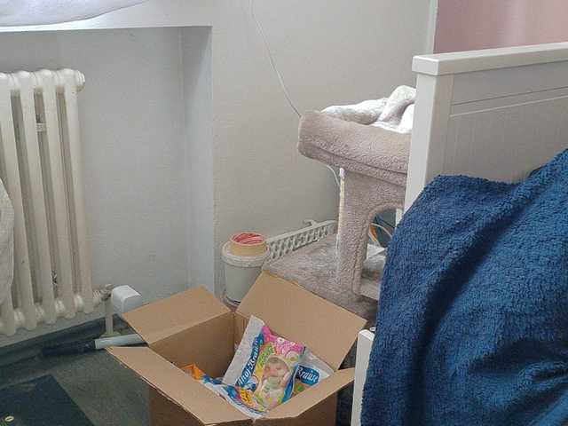 Wetgerman2's BongaCams show and profile