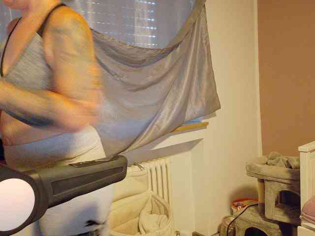 Wetgerman2 webcam