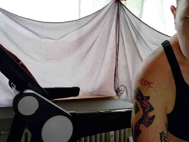 Wetgerman2 webcam