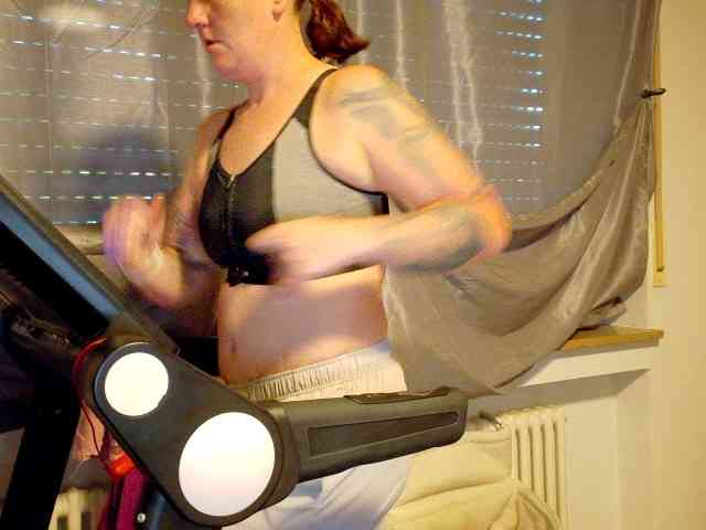 Wetgerman2 webcam