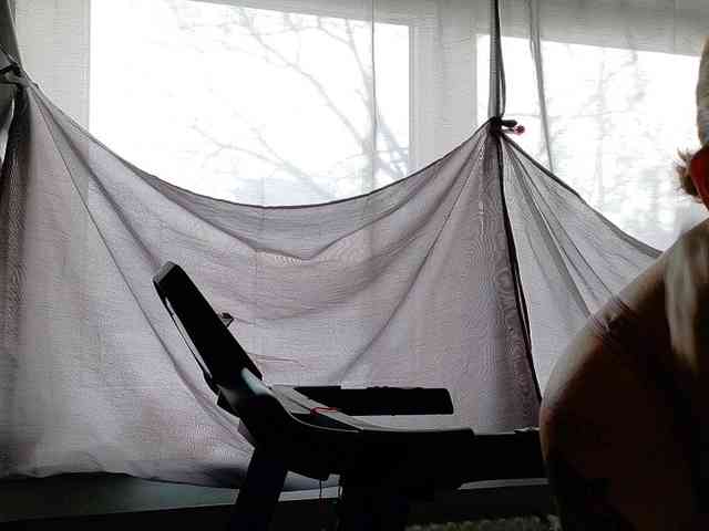 Wetgerman2 Wetgerman2