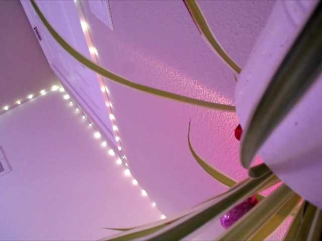 PrincessXOXO's BongaCams show and profile