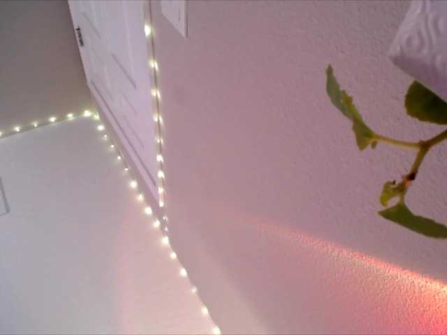 PrincessXOXO's BongaCams show and profile