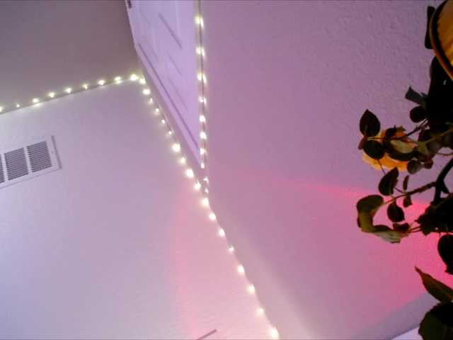 PrincessXOXO's BongaCams show and profile