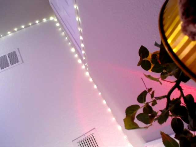 Preview of princessxoxo