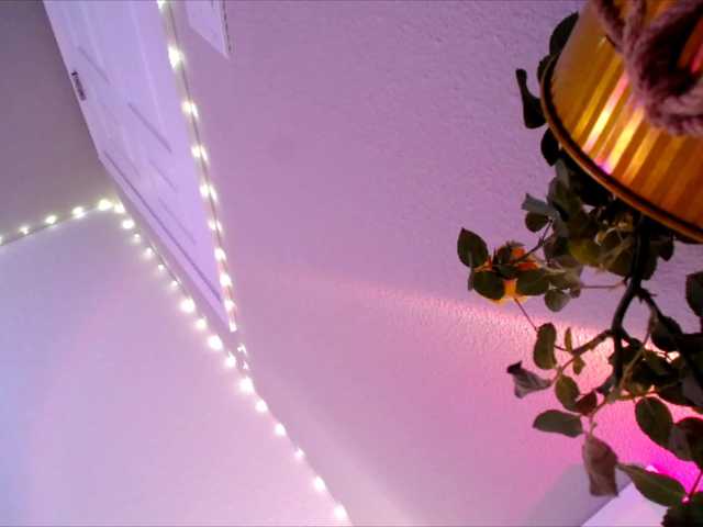 PrincessXOXO's BongaCams show and profile