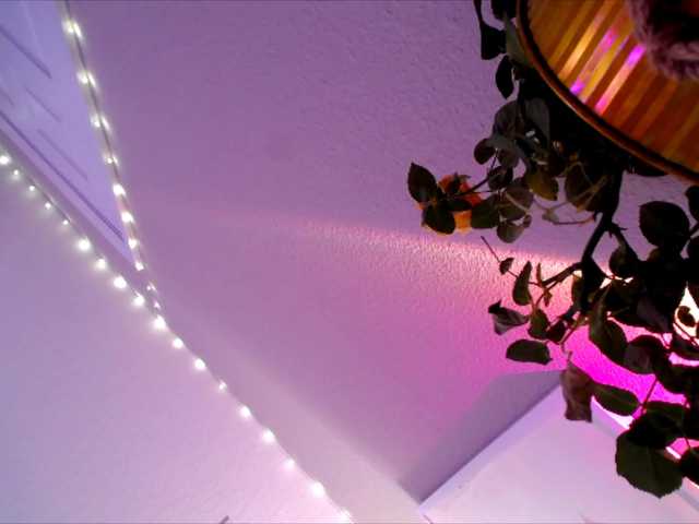 Preview of princessxoxo