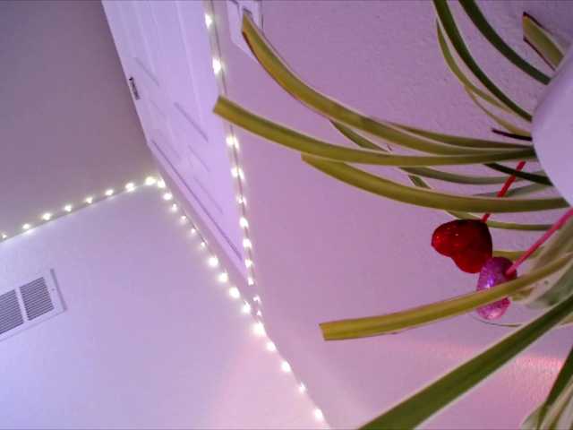 Preview of princessxoxo