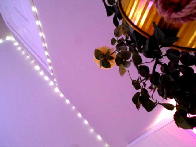 PrincessXOXO's BongaCams show and profile