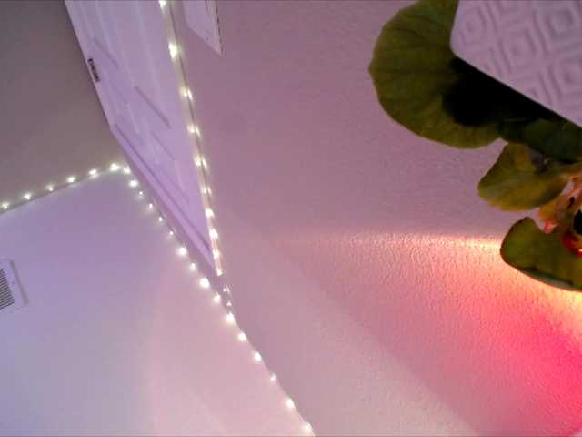 PrincessXOXO live cam profile