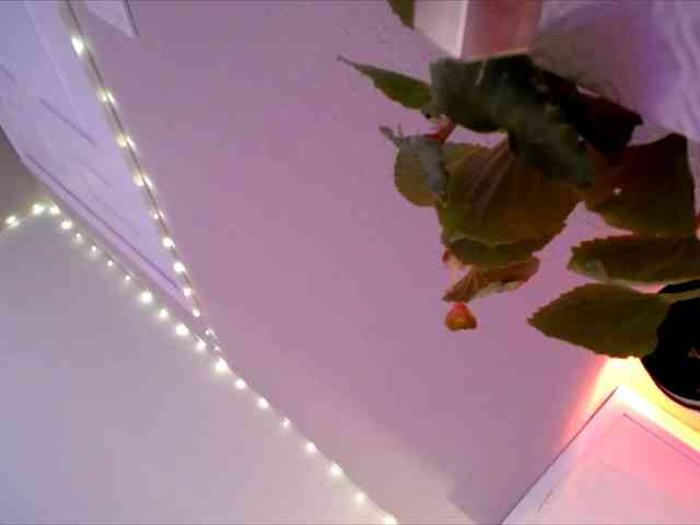 PrincessXOXO PrincessXOXO