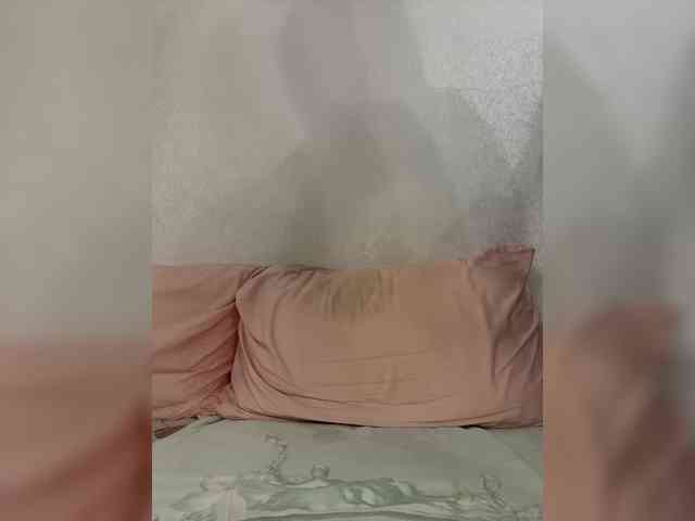 Annacam