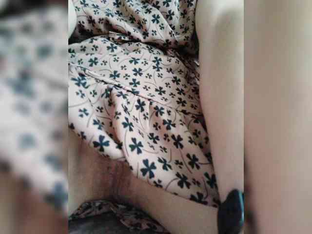 Mikkai webcam