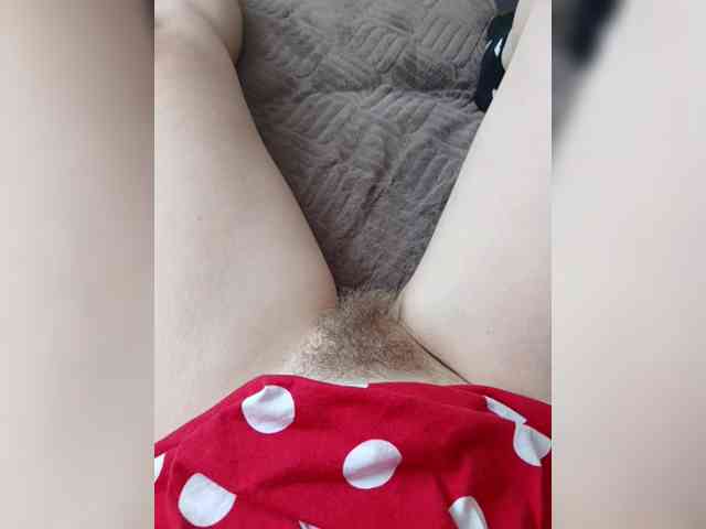 Mikkai webcam