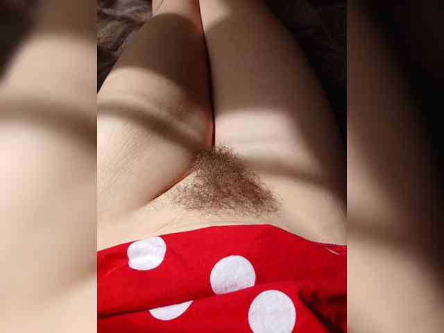 Mikkai webcam
