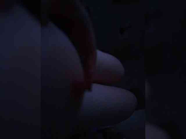 video chatting Gad135