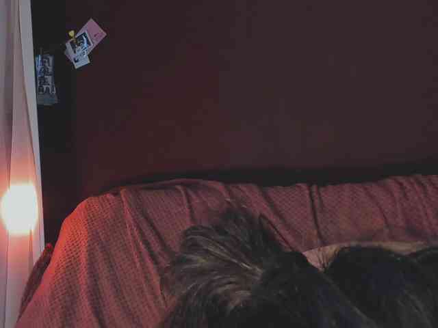 chat porno Juby-yubi
