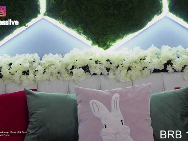 Greedy-Kim5's BongaCams show and profile