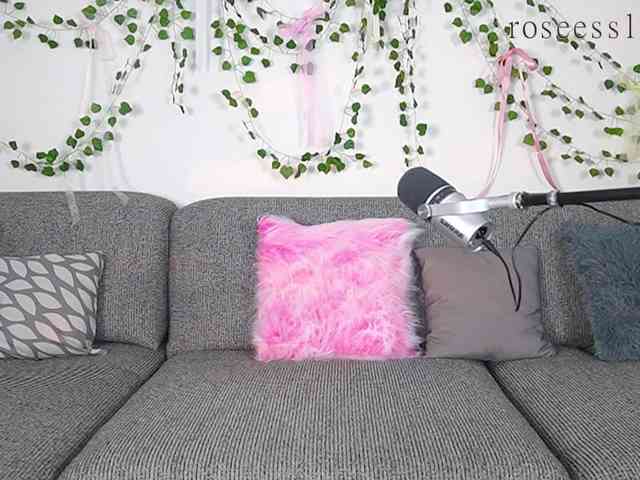 rosess_ webcam